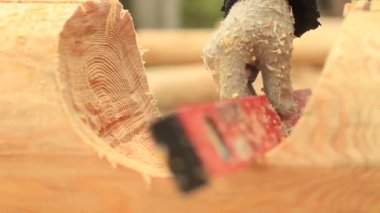 Ölçüm düzeyinde günlükleri