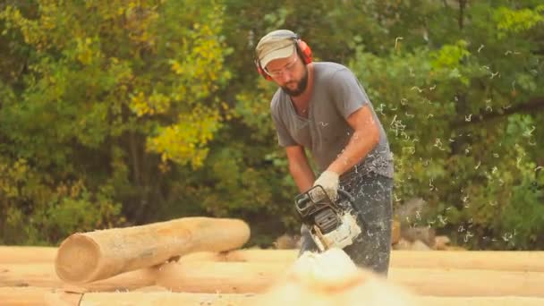 Scie à bois pour la maison — Video