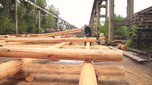 Sierra de madera aserrada para el hogar — Vídeo de stock