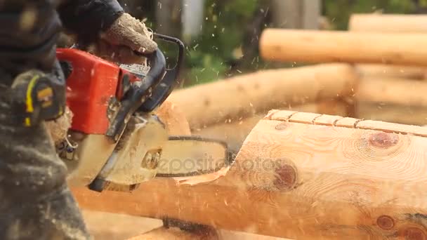 Saw sawing wood for home — Stock Video