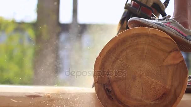 Sierra de madera aserrada para el hogar — Vídeo de stock