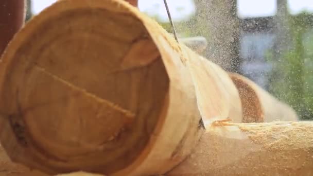 Sierra de madera aserrada para el hogar — Vídeo de stock