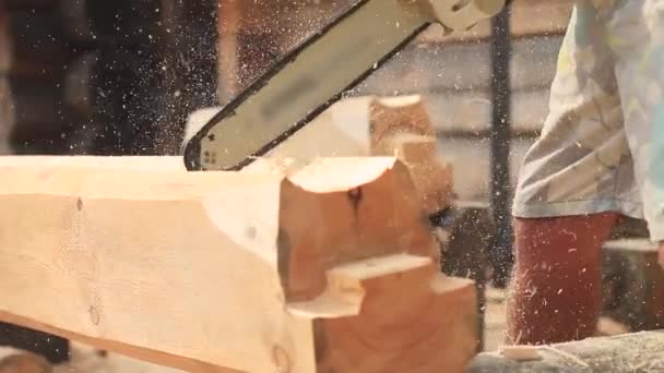 Saw sawing wood for home — Stock Video