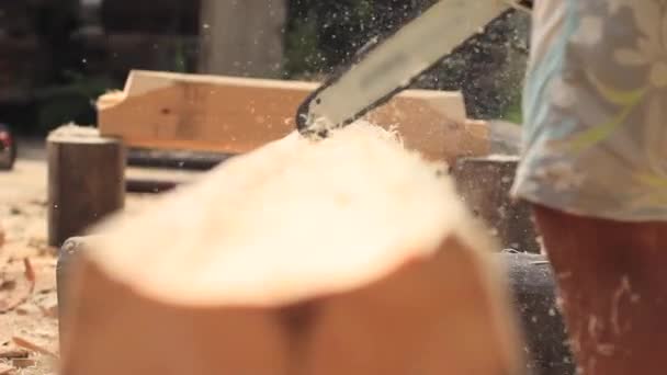 Пилу, пилящую дрова для дома — стоковое видео