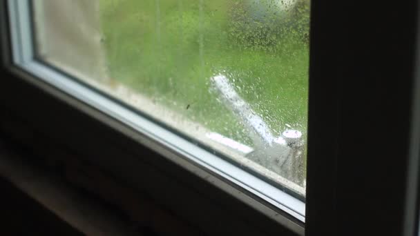 Дождь в окне — стоковое видео