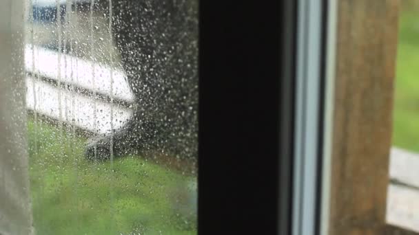 Regen im Fenster — Stockvideo