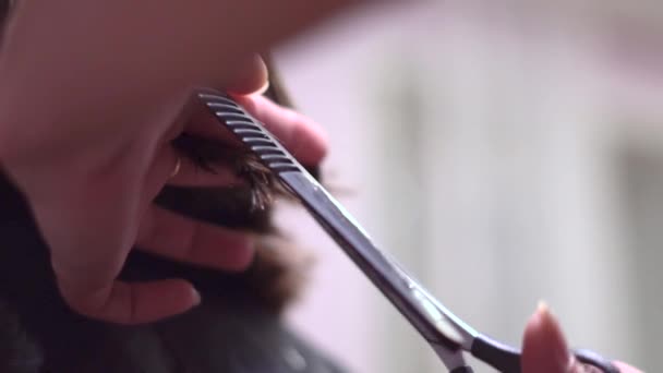 用剪刀剪妇女的头发 — 图库视频影像