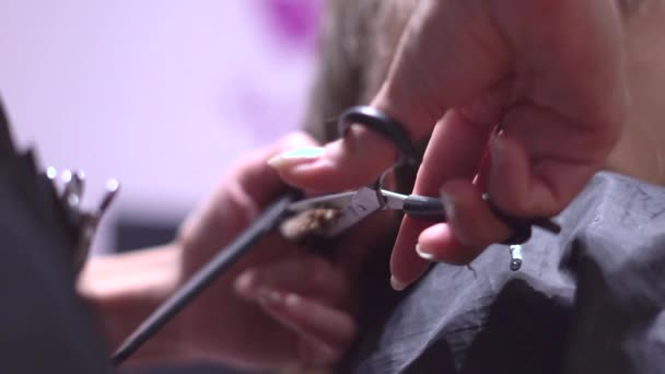 Cortar el pelo de las mujeres con tijeras — Vídeo de stock