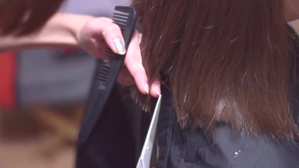 Bir kadın saçlarını makasla kesmek — Stok video