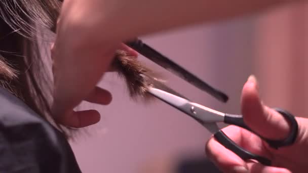 用剪刀剪女性头发 — 图库视频影像