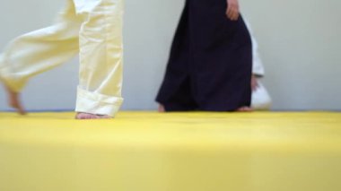Aikido bir derste
