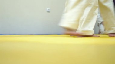 Aikido bir derste