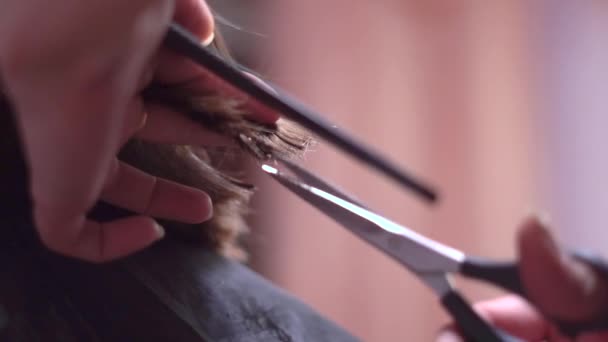 Frauen die Haare mit der Schere schneiden — Stockvideo