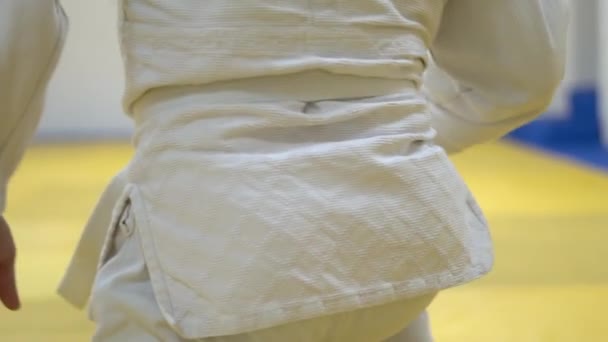 Een les in Aikido — Stockvideo