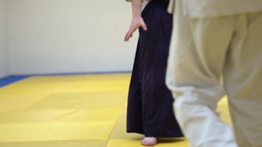 Aikido bir derste