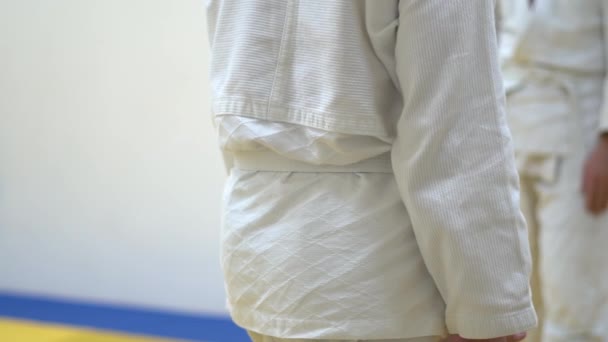 Aikido bir derste — Stok video
