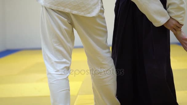 Lekcja w Aikido — Wideo stockowe