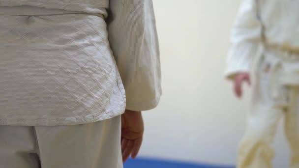 Een les in Aikido — Stockvideo