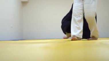 Aikido bir derste