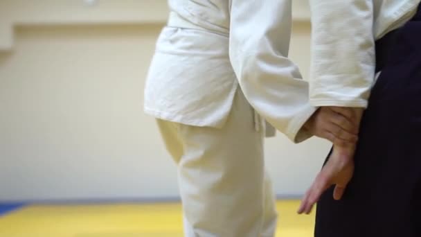 Lekce v Aikido — Stock video
