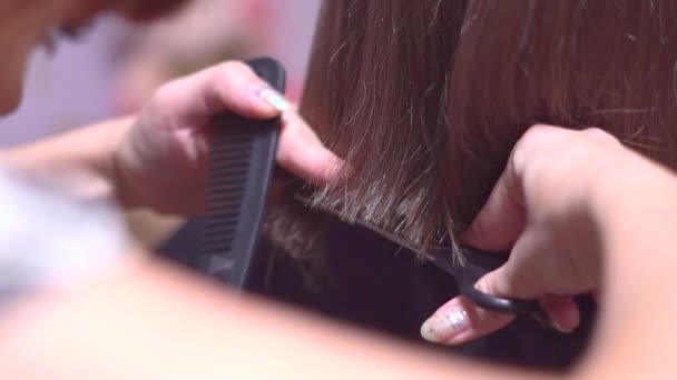 Cut womens hair with scissors — Stock Video