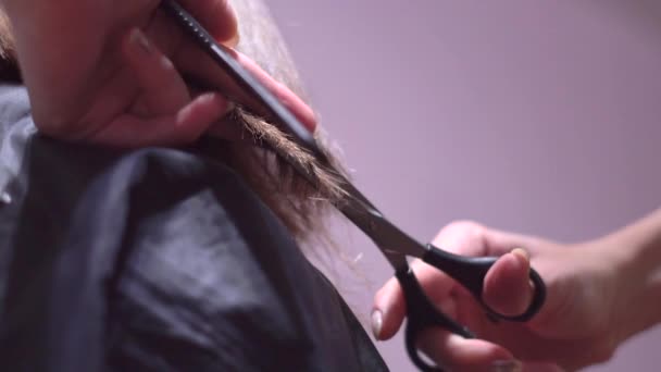 Corte de pelo de mujer con tijeras — Vídeos de Stock