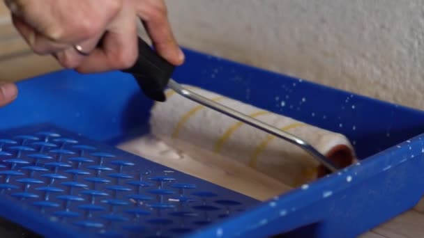 Der Roller taucht in die Farbe ein — Stockvideo