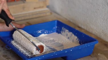 rulo dip boya içine