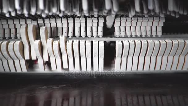Vintage Zongora Kalapács Mechanizmus — Stock videók