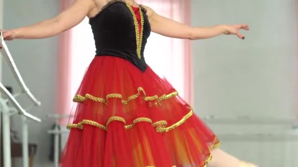 Bailarina Barre — Vídeo de Stock