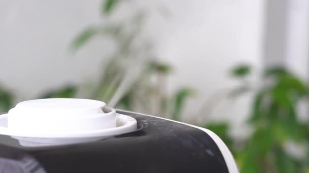 Humidificateur à ultrasons dans la maison . — Video