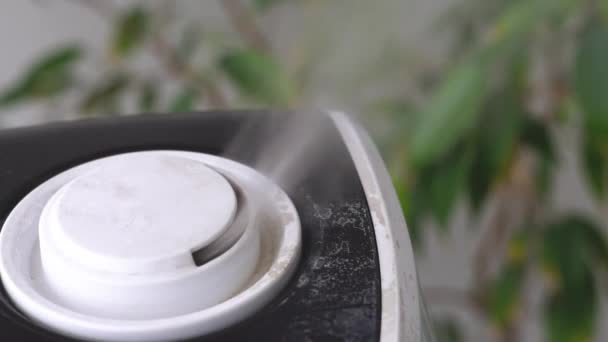 Humidificateur à ultrasons dans la maison . — Video