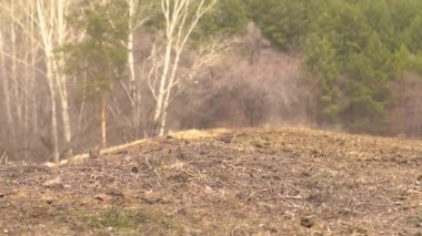 Motocross yarışmalar parça