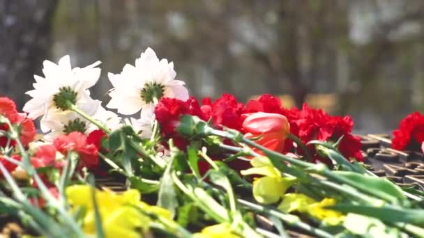 Blommor vid monumentet — Stockvideo