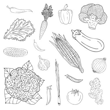 Beyaz arka planda izole edilmiş çizim çizimi çizilmiş sebzeler.