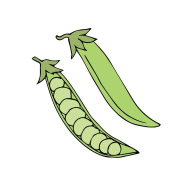 Beyaz arkaplanda karikatür tarzında izole edilmiş bezelye ikonu. vejetaryen gıda sembolü