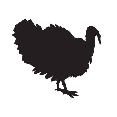 Beyaz arkaplanda siyah hindi silueti izole edildi