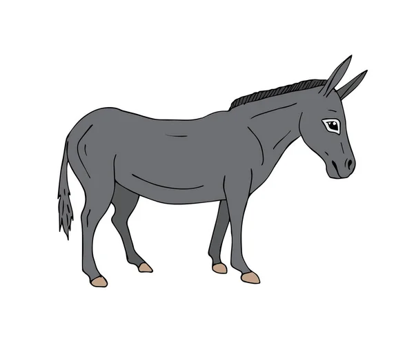 Vector Handgezeichnetes Doodle Graue Skizze Esel Isoliert Auf Weißem Hintergrund — Stockvektor