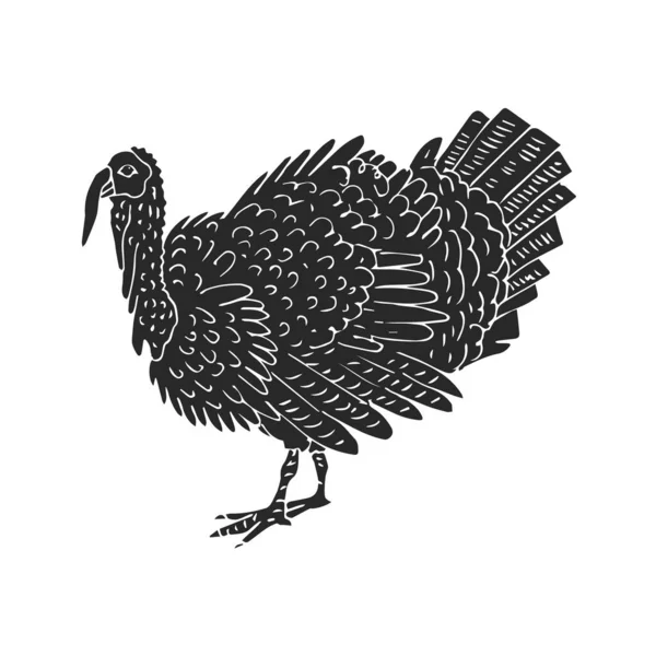 在白色背景下分离的矢量手绘素描涂鸦黑火鸡 — 图库矢量图片