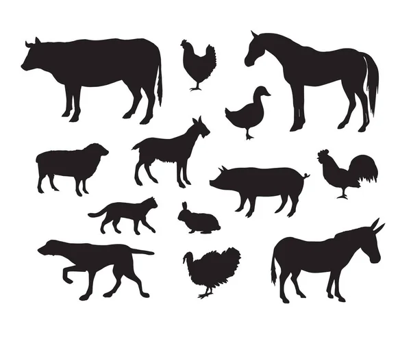 Conjunto Vectores Silueta Animales Domésticos Negros Aislados Sobre Fondo Blanco — Archivo Imágenes Vectoriales