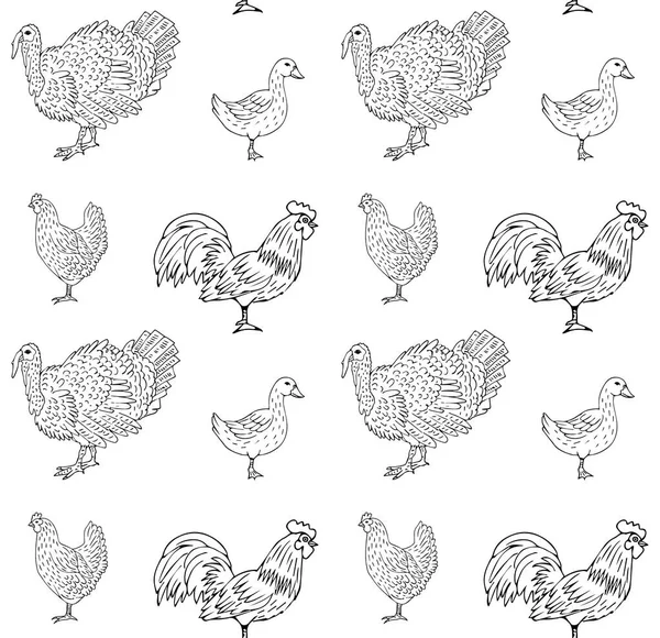 Modèle Sans Couture Vectoriel Croquis Gribouillis Dessinés Main Oiseaux Domestiques — Image vectorielle