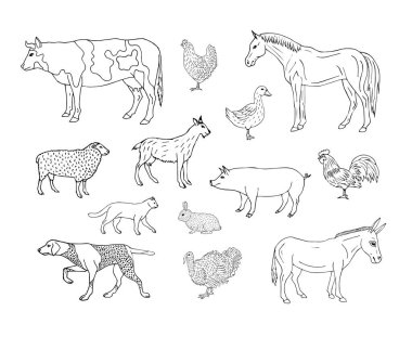 Vektör el çizimi bohça Beyaz arka planda izole evcil hayvanlar