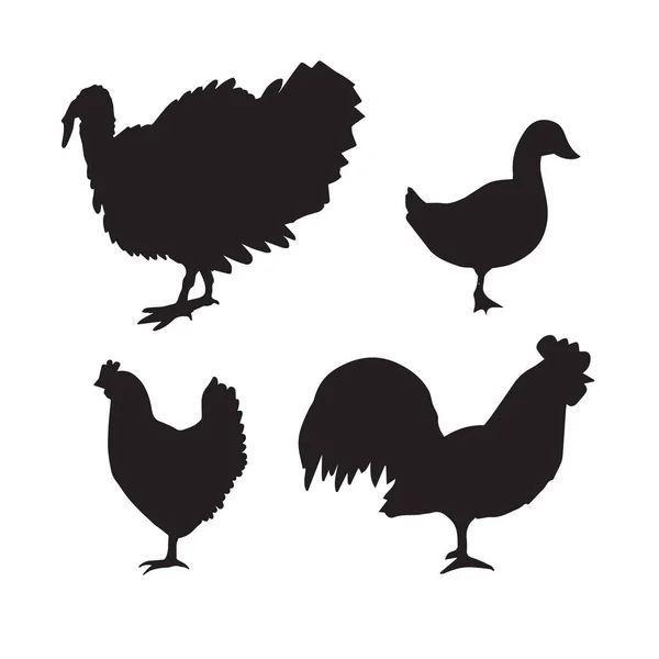 Σύνολο Διανυσματικών Δέσμη Από Μαύρα Κατοικίδια Πτηνά Σιλουέτα Απομονωμένη Λευκό — Διανυσματικό Αρχείο