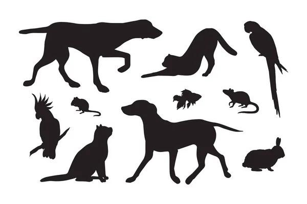 Ensemble Vectoriel Faisceau Noir Différentes Animaux Compagnie Silhouette Isolé Sur — Image vectorielle