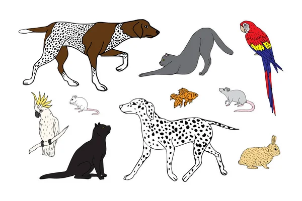 Ensemble Gribouillis Dessinés Main Vectoriels Faisceau Différents Animaux Isolés Sur — Image vectorielle