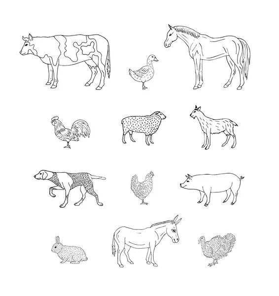 Vector Set Bundle Hand Drawn Sketch Domestic Animals Isolated White — Stock Vector