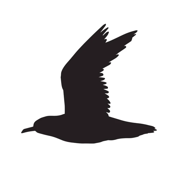 Silhouette Mouette Volante Noire Vectorielle Isolée Sur Fond Blanc — Image vectorielle