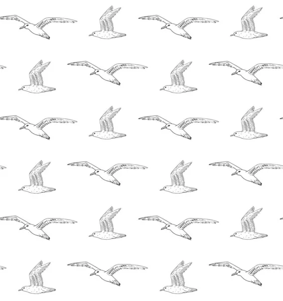 Patrón Sin Costura Vectorial Dibujo Volador Dibujado Mano Gaviota Aislada — Archivo Imágenes Vectoriales