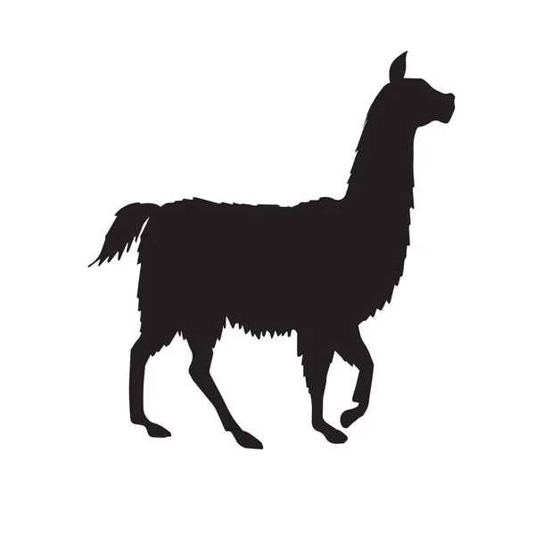 Silhouette Vectorielle Lama Noir Isolée Sur Fond Blanc — Image vectorielle