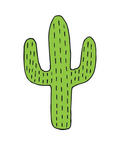 Vektor tangan gambar corat-coret sketsa kaktus hijau - Stok Vektor